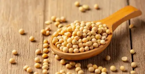 Genistein Extract in Skin Care: Anti-Aging and Protective Properties